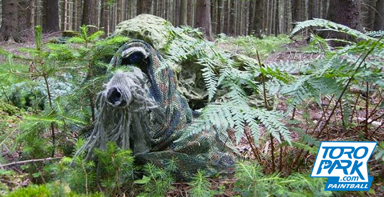 camouflage foret - TOROPARK - Terrain Paintball Normandie 76 - Loisirs     