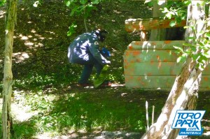 Foret - TOROPARK - Terrain Paintball 76 - Loisirs