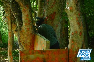foret - TOROPARK - Terrain Paintball Normandie 76 - Loisirs